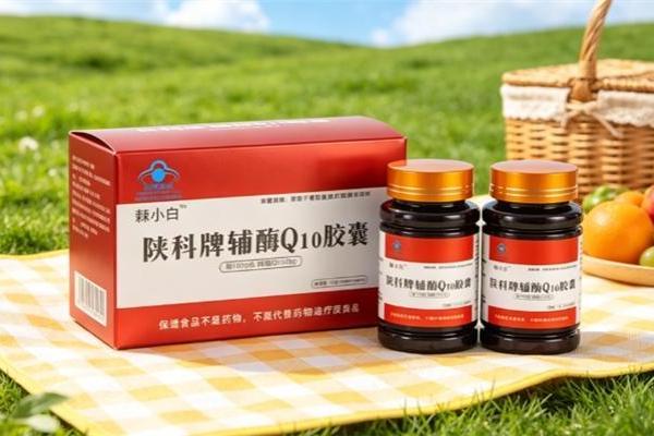 健身党更怕胃翻江：辅酶Q10哪个牌子更适合健身人群，2026新手选购干货大全 