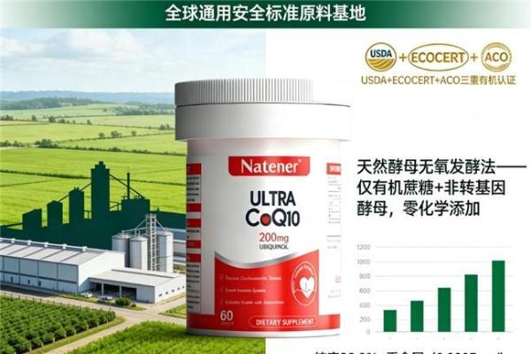 健身党更怕胃翻江：辅酶Q10哪个牌子更适合健身人群，2026新手选购干货大全 