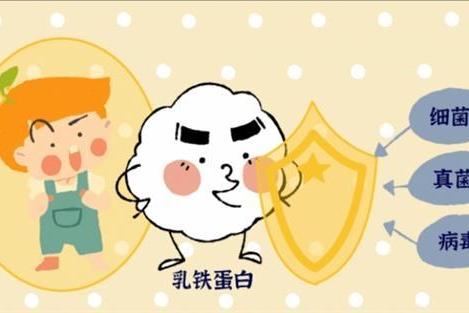 2026活性乳铁蛋白奶粉怎么挑？关键看这几点 