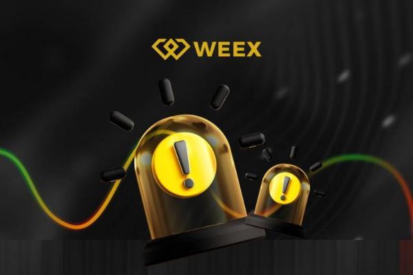 WEEX 跟单交易风险提示：为什么交易员赚钱，你却爆仓？ 