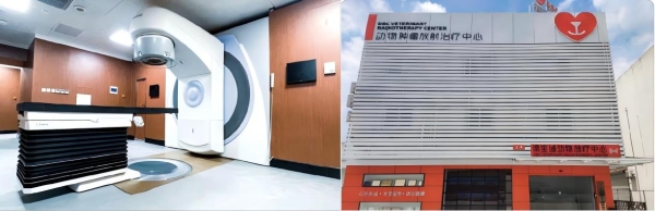 从人医到宠医：一场成功的中国医学影像技术迁移 