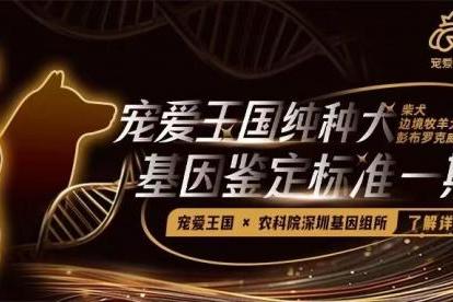 《纯种犬品种基因标准》共建计划 正式发布 品种标准从外观表型向基因科学的模式升级 