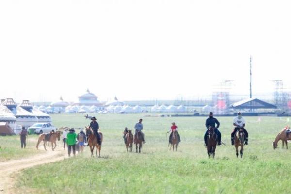 轮番霸屏热榜TOP1！第36届那达慕燃爆盛夏草原 