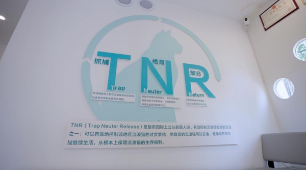 从暖暖小院到TNR医院，TCL空调以AI科技守护毛孩子冷暖