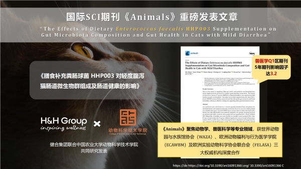深耕专利猫源益生菌科研应用转化，Solid Gold素力高重磅推出全新升级猫源菌排毛粉产品！ 