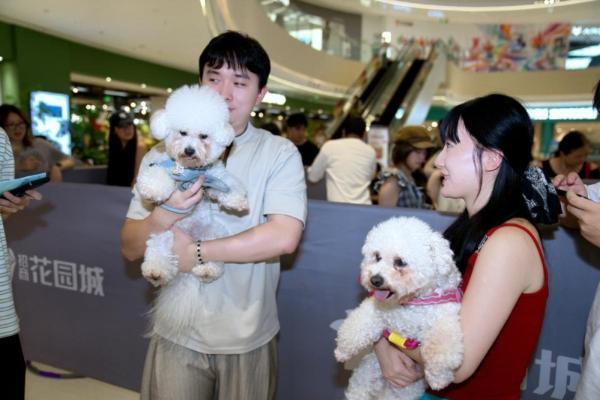 它友圈“萌宠大闯关”派对圆满落幕：用游戏打破社交壁垒，让宠友同频相遇 