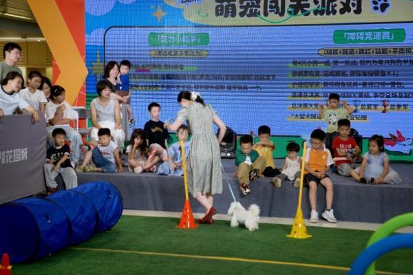 它友圈“萌宠大闯关”派对圆满落幕：用游戏打破社交壁垒，让宠友同频相遇 