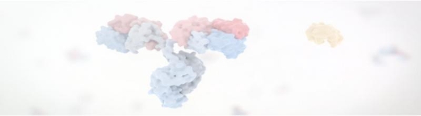 高载量、耐碱、温和洗脱：下一代Protein A填料如何接住抗体药物的“泼天富贵” 
