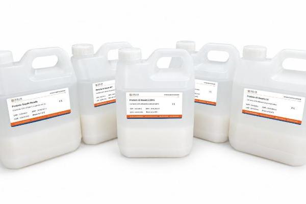 高载量、耐碱、温和洗脱：下一代Protein A填料如何接住抗体药物的“泼天富贵” 