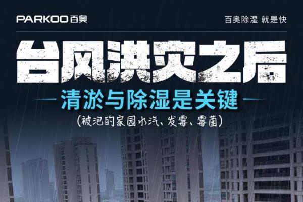 洪水泡过的家，墙壁在"出汗"：除湿机是智商税还是刚需？ 