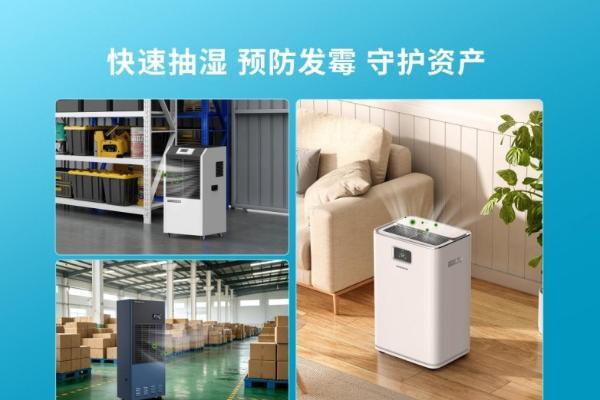 洪水泡过的家，墙壁在"出汗"：除湿机是智商税还是刚需？ 
