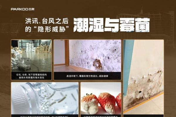 洪水泡过的家，墙壁在"出汗"：除湿机是智商税还是刚需？ 