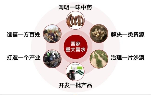 劲牌公司获2025年度国家科技进步奖二等奖 10年内两获国家科学技术奖 