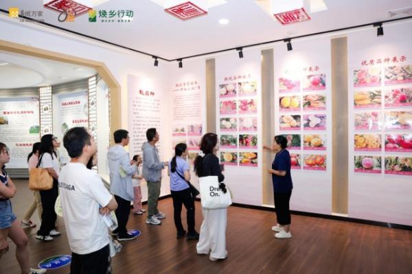 华润万家携会员探访蒙阴蜜桃核心产区，见证产地直采全链路品质把控 