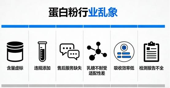 蛋白粉哪个牌子靠谱？2026 年实测 5 款高吸收率蛋白粉选购指南 