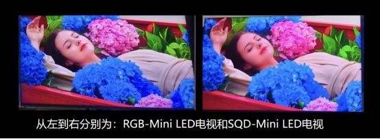 RGB-Mini LED才是高端电视终局？一文看懂技术优势与选购指南 