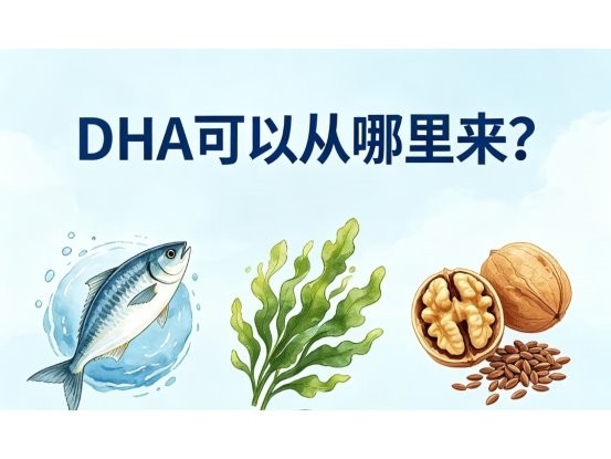 DHA哪个牌子口碑好？2026年精选十款高口碑蓝帽DHA品牌测评分享 