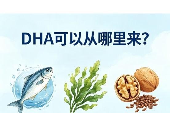 DHA哪个牌子口碑好？2026年精选十款高口碑蓝帽DHA品牌测评分享 