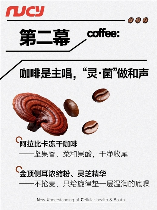 NUCY金顶侧耳灵芝咖啡，锚定食药同源原料适配多元日常场景 