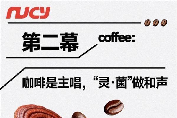 NUCY金顶侧耳灵芝咖啡，锚定食药同源原料适配多元日常场景 
