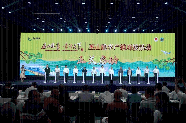 巫山脆李产销对接活动在京举行，巴渝名优土特产开启全国市场新征程 