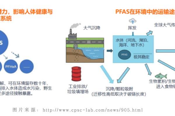 国际期刊最新研究：揭示含氟眼药水成分可造成肝脏代谢隐患？ 