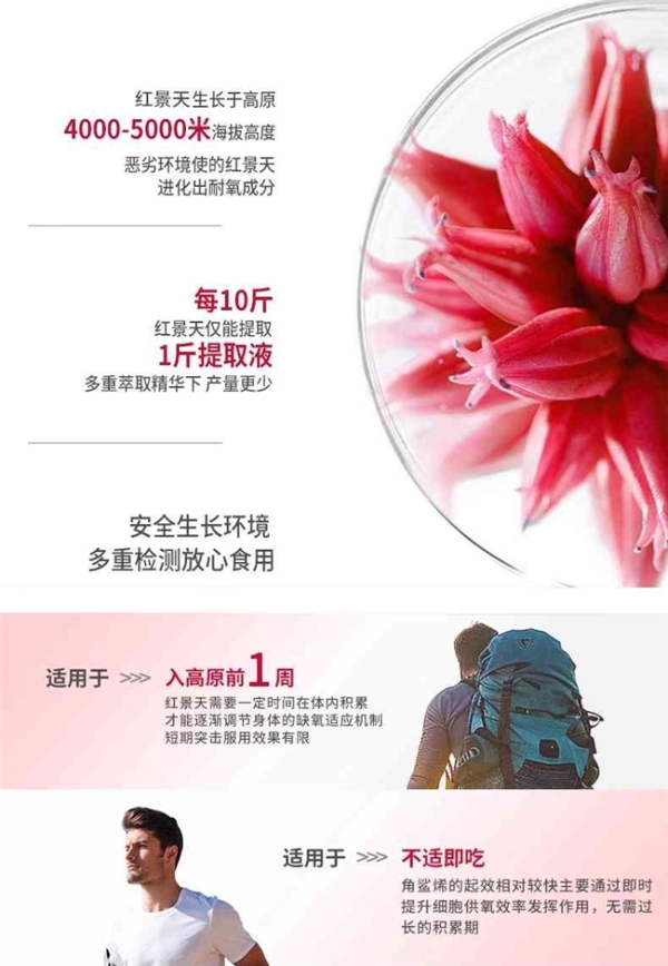 红景天在高原的作用有哪些？红景天除了抗高反还有什么用？不止耐缺氧，抗疲缓乏样样行 