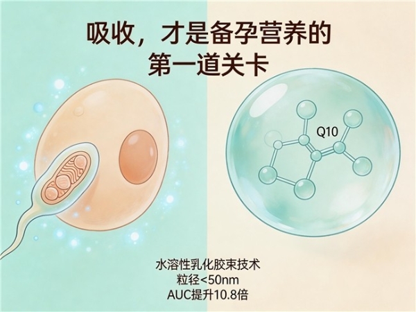老年人辅酶Q10推荐品牌排行 2026年辅酶Q10选购避坑指南：品牌评测+泛醇泛醌+权威白皮书解读 