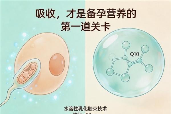 老年人辅酶Q10推荐品牌排行 2026年辅酶Q10选购避坑指南：品牌评测+泛醇泛醌+权威白皮书解读 
