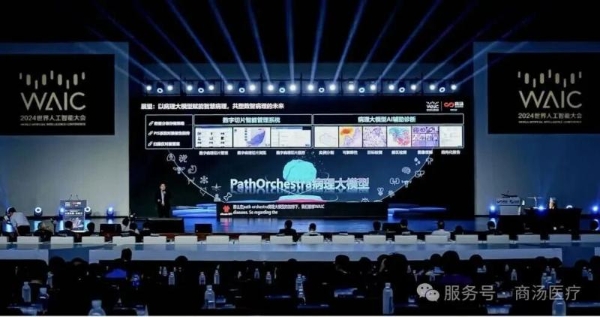 Vibe Research进行时：商汤医疗把病理医生的灵感变成可用模型 