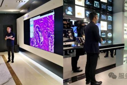 Vibe Research进行时：商汤医疗把病理医生的灵感变成可用模型 