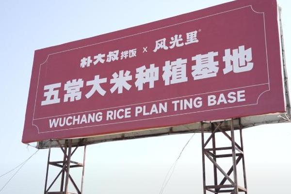 拌饭千亿赛道牵手万亿团餐市场，朴大叔以“社餐实力”重构食堂消费新体验 