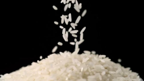不止于“有机”：解码禾泱泱稻鸭共生背后的辅食新标准 