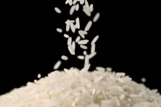 不止于“有机”：解码禾泱泱稻鸭共生背后的辅食新标准 
