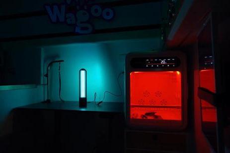 50 台洗护车织密服务网 Wagoo哇咕构建上海全场景中高端宠服生态 