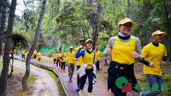 跑进“藏地江南”：奇正藏药约你跑着“过林卡”，一次3KM的雪域晨光之约 