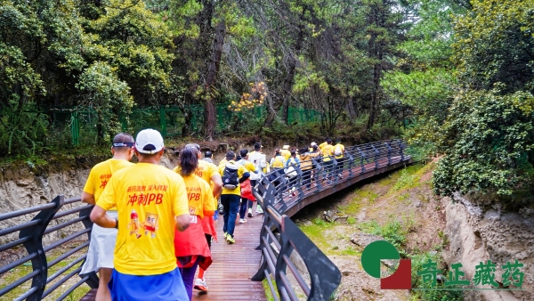 跑进“藏地江南”：奇正藏药约你跑着“过林卡”，一次3KM的雪域晨光之约 