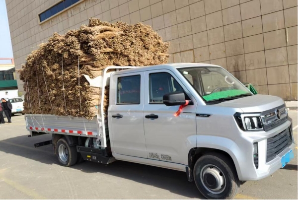 两吨药材一趟装 长途运输不慌张——沙师傅药材运输路上的“省心搭档” 