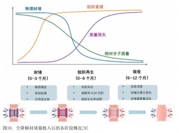 即刻非劣，中远期减负：可降解封堵器对比金属封堵器的临床证据解析 