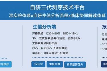 创新响应，服务“十五五” | 博圣医学全线布局三代测序产品矩阵 