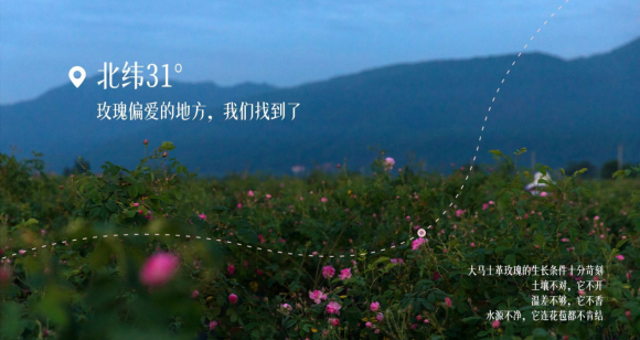 玫莉蔻花苞水，深耕玫瑰护肤，温柔守护肌肤本真状态 