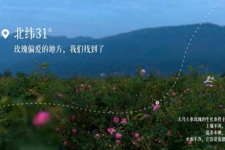 玫莉蔻花苞水，深耕玫瑰护肤，温柔守护肌肤本真状态 