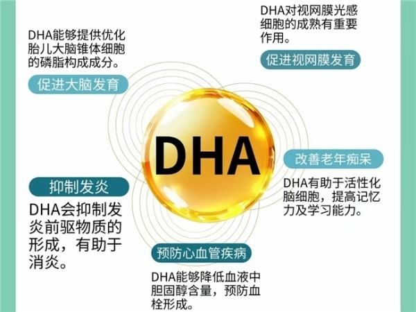 成人DHA什么牌子值得入手？2026年十大热门DHA品牌榜单出炉 