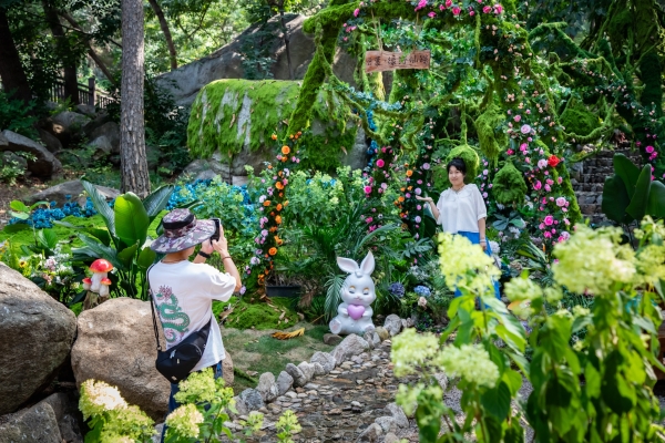 21℃清凉避暑盛宴开启！沂蒙山云蒙精灵山谷暑期狂欢来袭 限时免票邀客 
