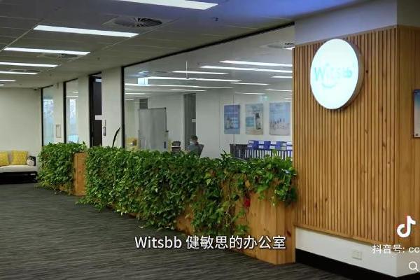 从药房货架到TGA生产线，看见Witsbb健敏思的“透明化”答案 