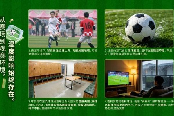 与80%湿度博弈：百奥服务世界级体育场馆的底层逻辑 