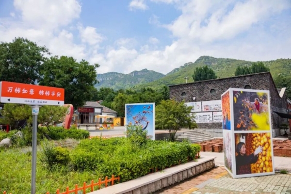 文干院联合同程旅行走进潍坊临朐五井镇，产学研赋能乡村农文旅融合发展 
