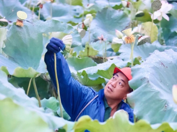 华润万家焕乡行动奔赴广昌莲乡，源头溯源赋能特色产业振兴 