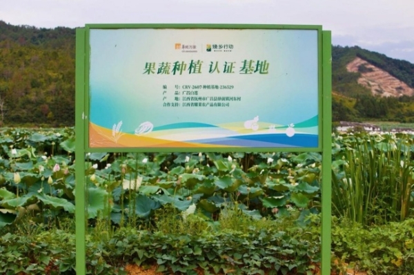 华润万家焕乡行动奔赴广昌莲乡，源头溯源赋能特色产业振兴 