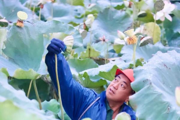 华润万家焕乡行动奔赴广昌莲乡，源头溯源赋能特色产业振兴 